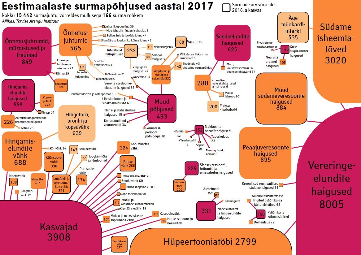 Surmapohjused2017 fin