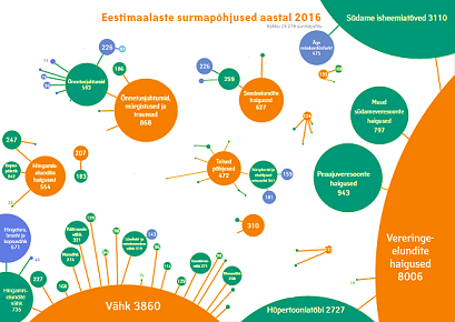 Surmapõhjused2016vaike